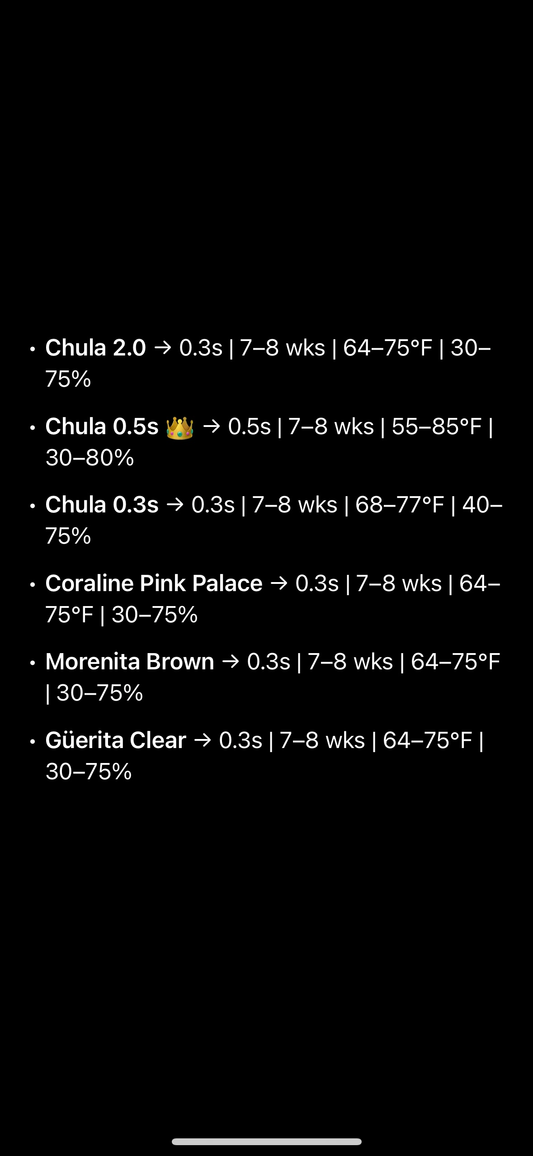 Chula Lash adhesive 0.3 sec (top seller)